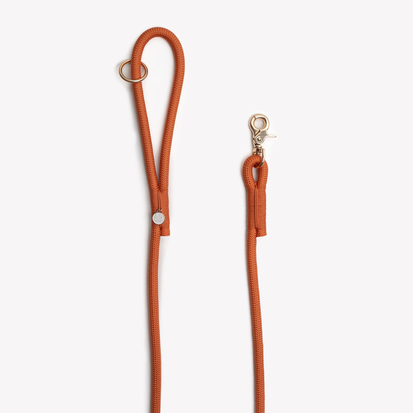 'Terracotta' on dog — dog leash close-up | Cutie Paw Co.