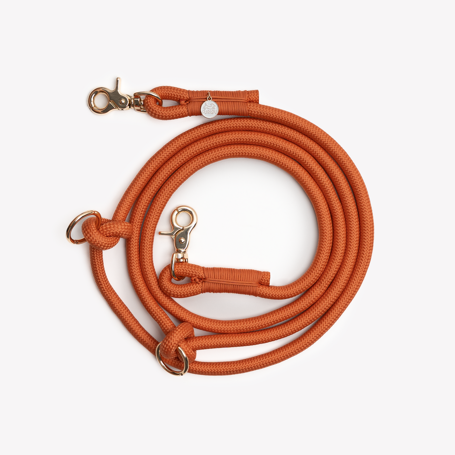 'Terracotta' on dog — dog leash close-up | Cutie Paw Co.