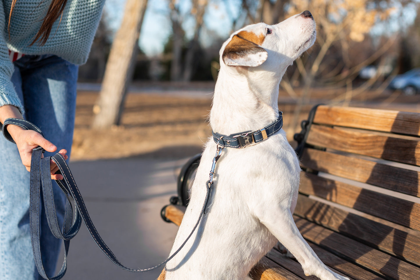 Blue Jeans Leather Dog Collar — Bestseller