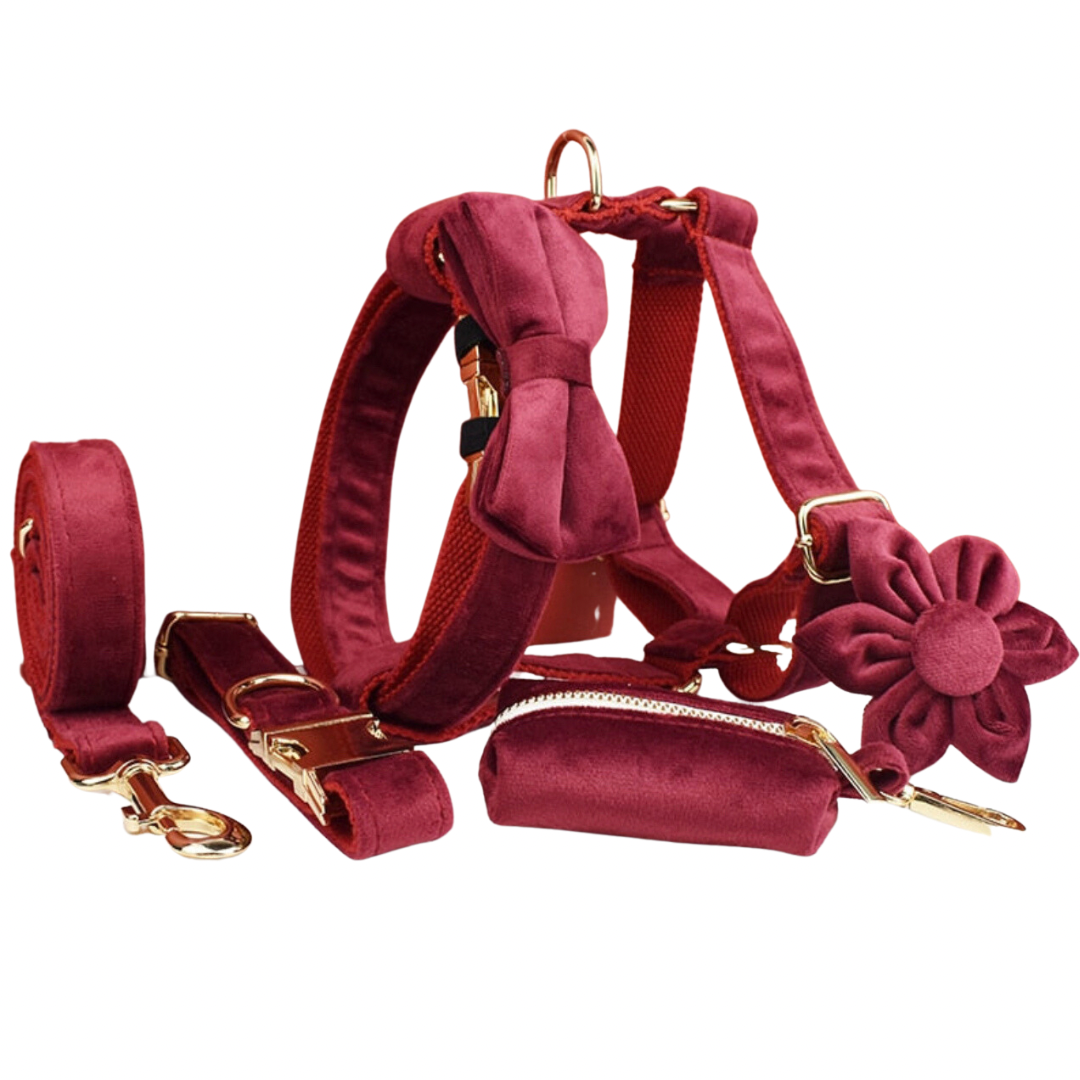 Red Wine Velvet Harness, Collar, and Leash Set