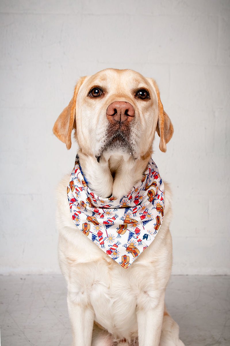 American Summer Dog Bandana