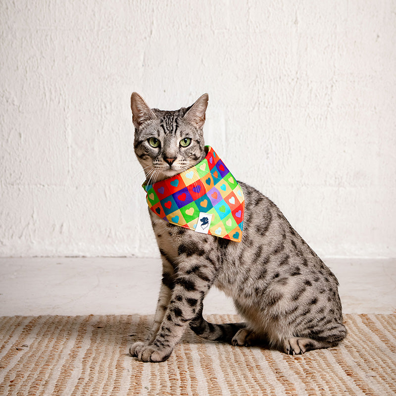 Love Wins Dog Bandana