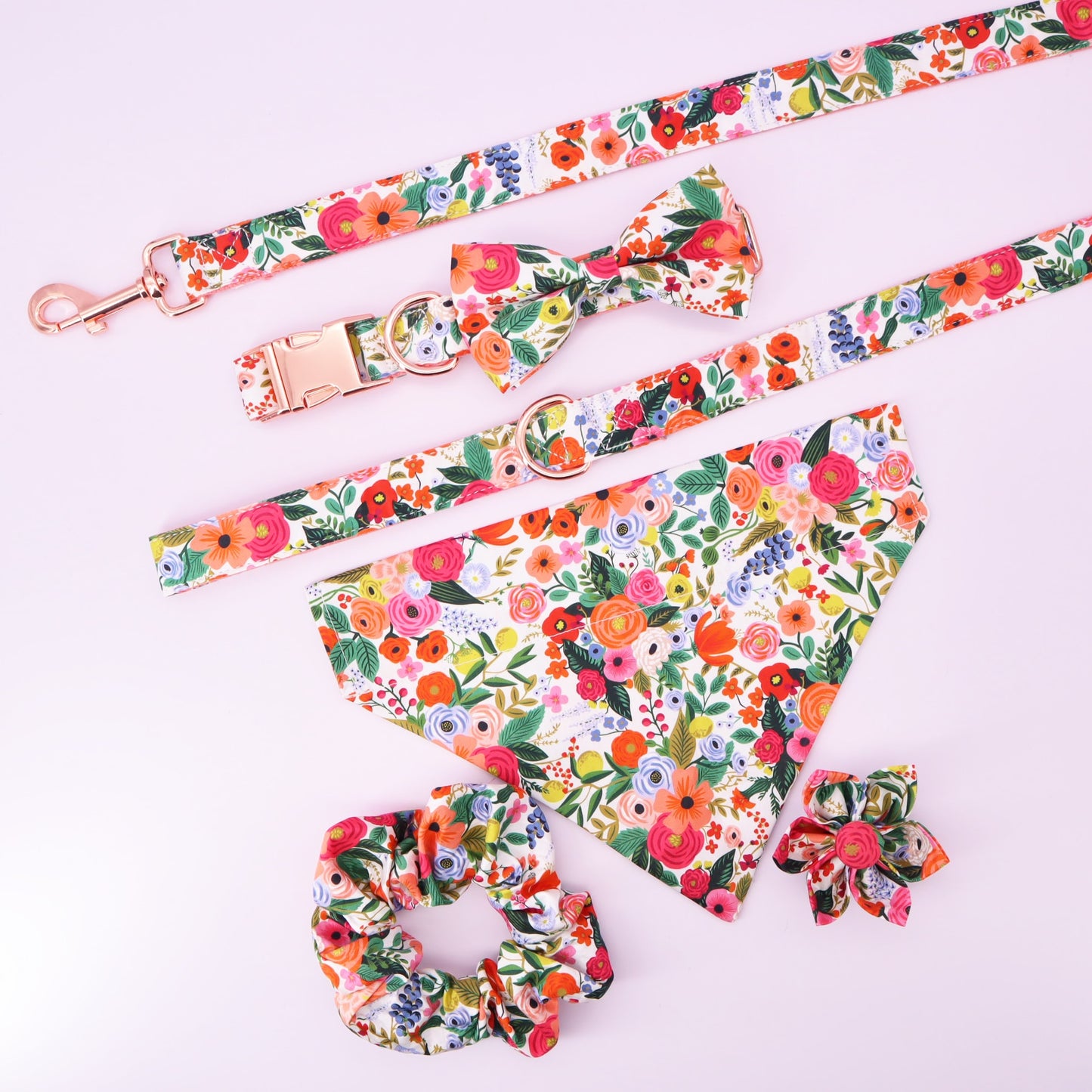 Bright Day Collar and Leash Set