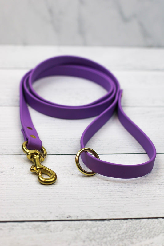 Taro Tango Biothane Leash