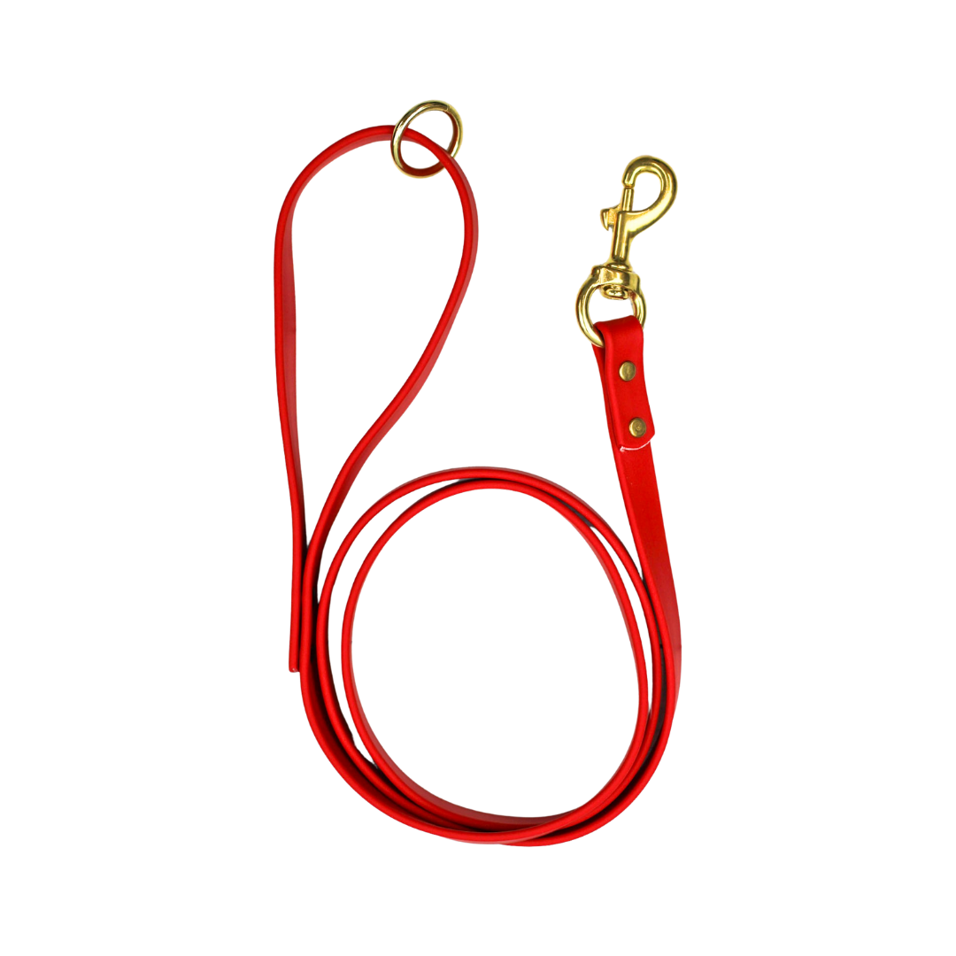 Cranberry Crush Biothane Leash