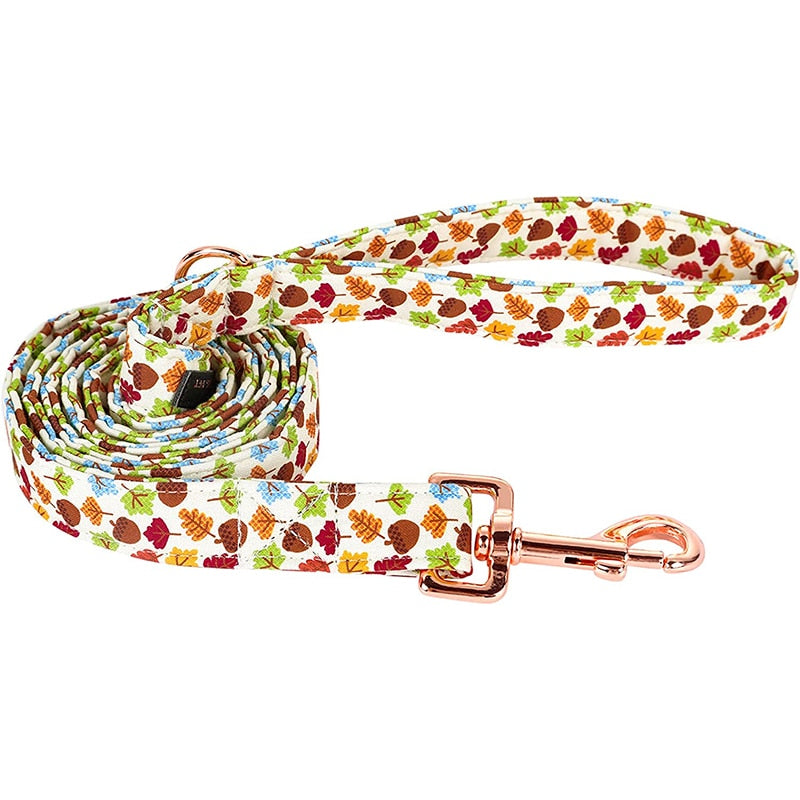 Scarlett Collar, Leash, and Bow, or Flower