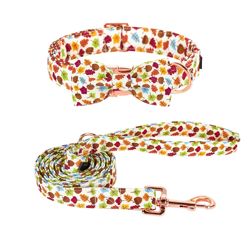 Scarlett Collar, Leash, and Bow, or Flower