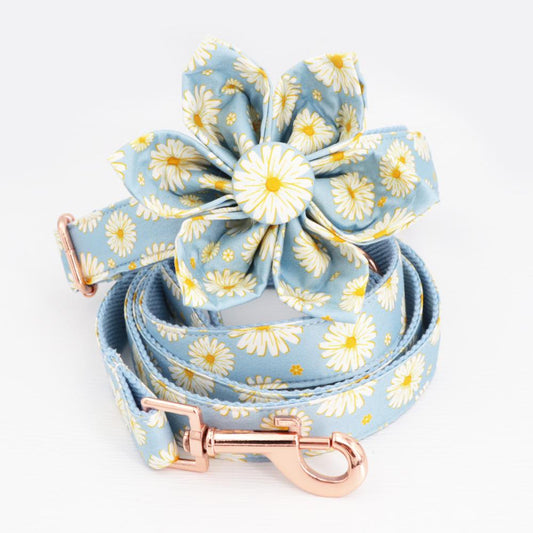 Gloriosa Collar, Flower, and Leash