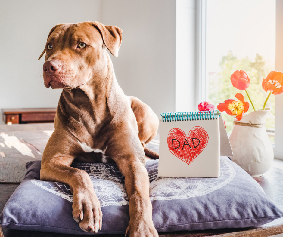 What to Say to a Dog Father on Father's Day
