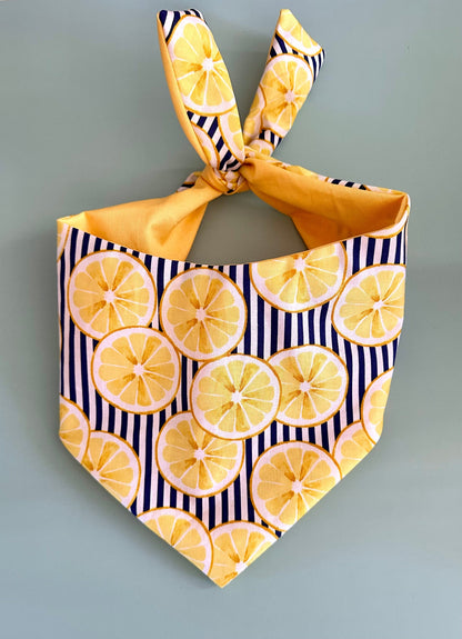 Lemon Dog Bandana
