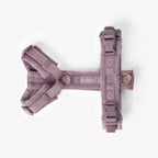 Lilac - Velvet Dog Harness