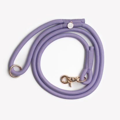 'Lavender' | Cutie Paw Co.