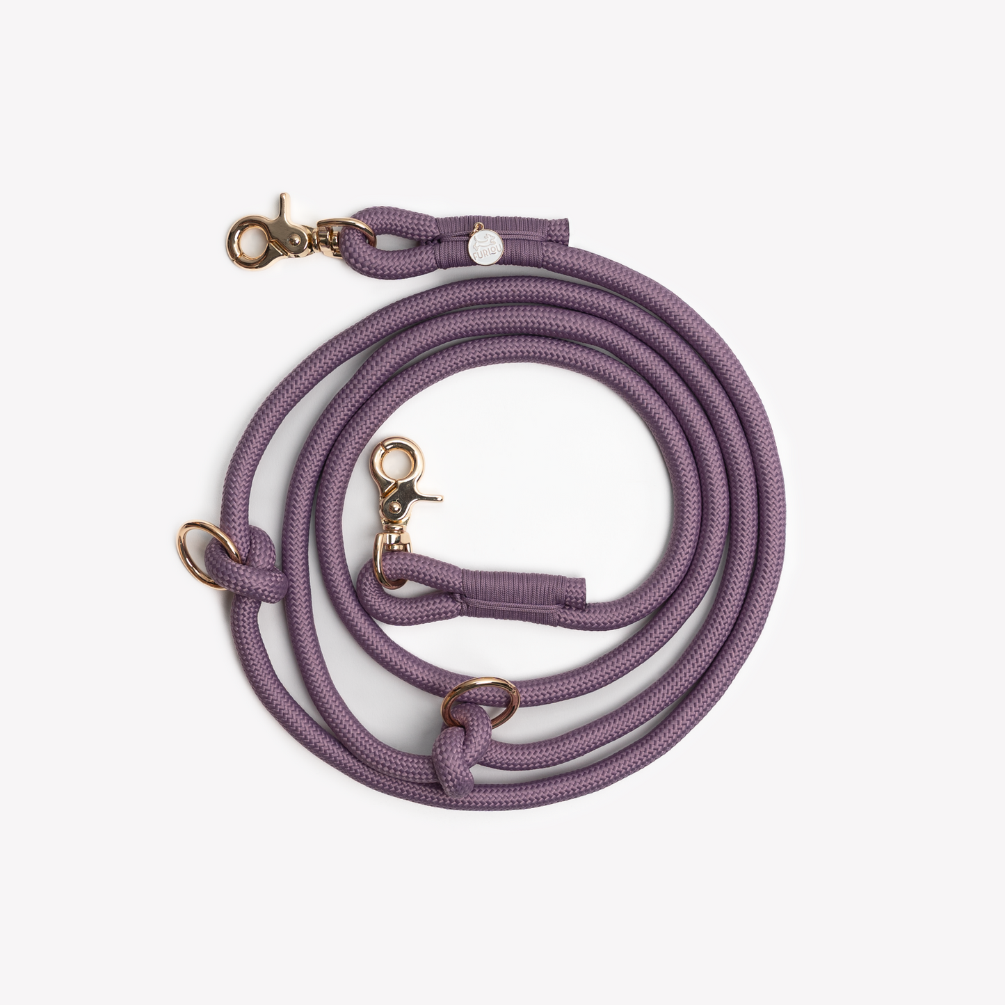 'Lilac' on dog — dog leash close-up | Cutie Paw Co.