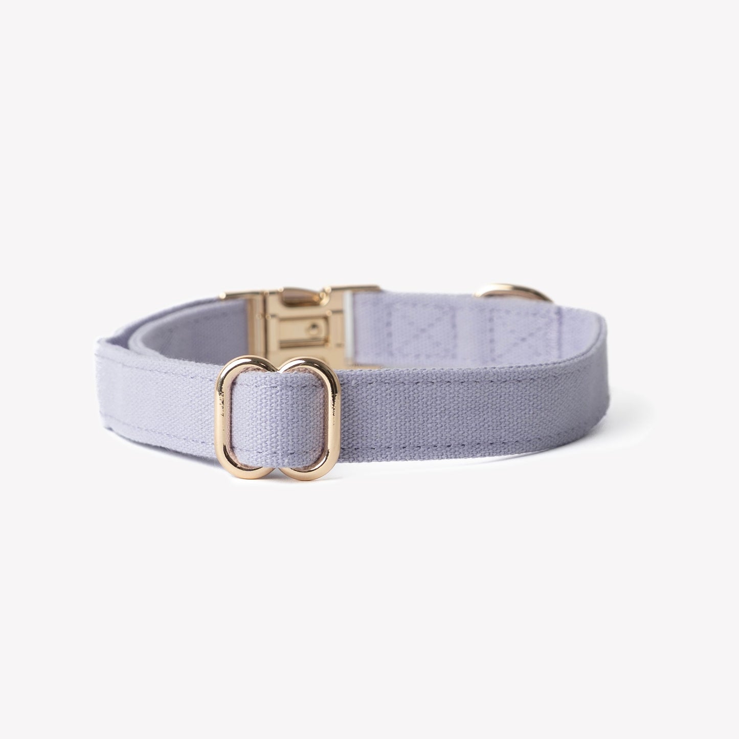 'Lavender' on dog — dog collar close-up | Cutie Paw Co.
