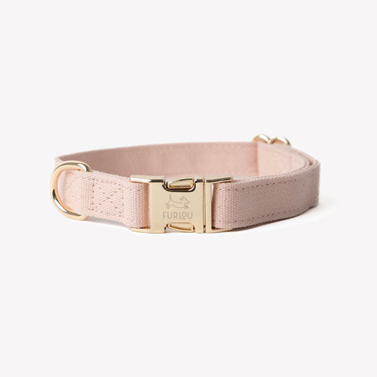 'Powder Rose' - Canvas Dog Collar