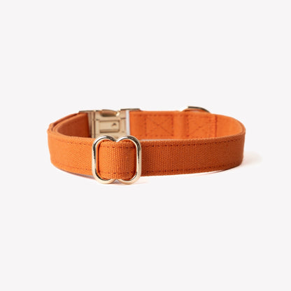 'Terracotta' on dog — dog collar close-up | Cutie Paw Co.