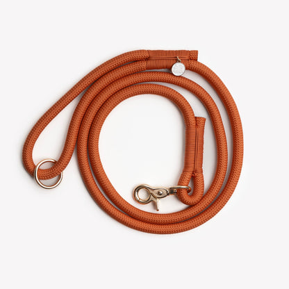 'Terracotta' | Cutie Paw Co.