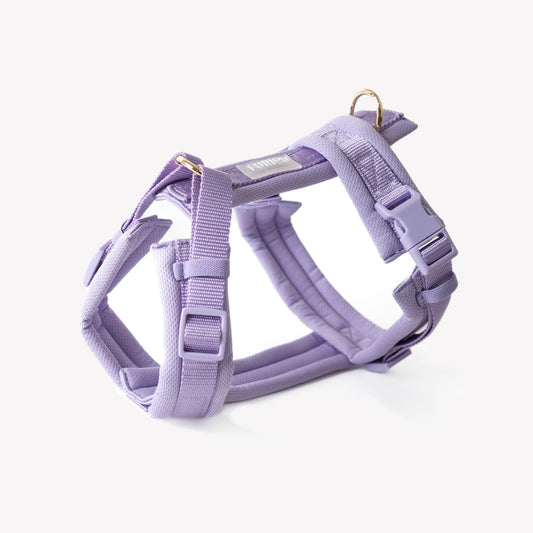 Lavender | Cutie Paw Co.