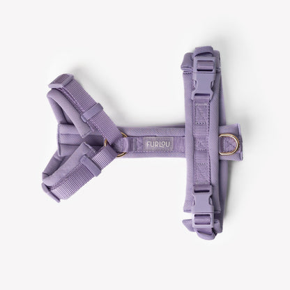 Lavender on dog — dog harness close-up | Cutie Paw Co.