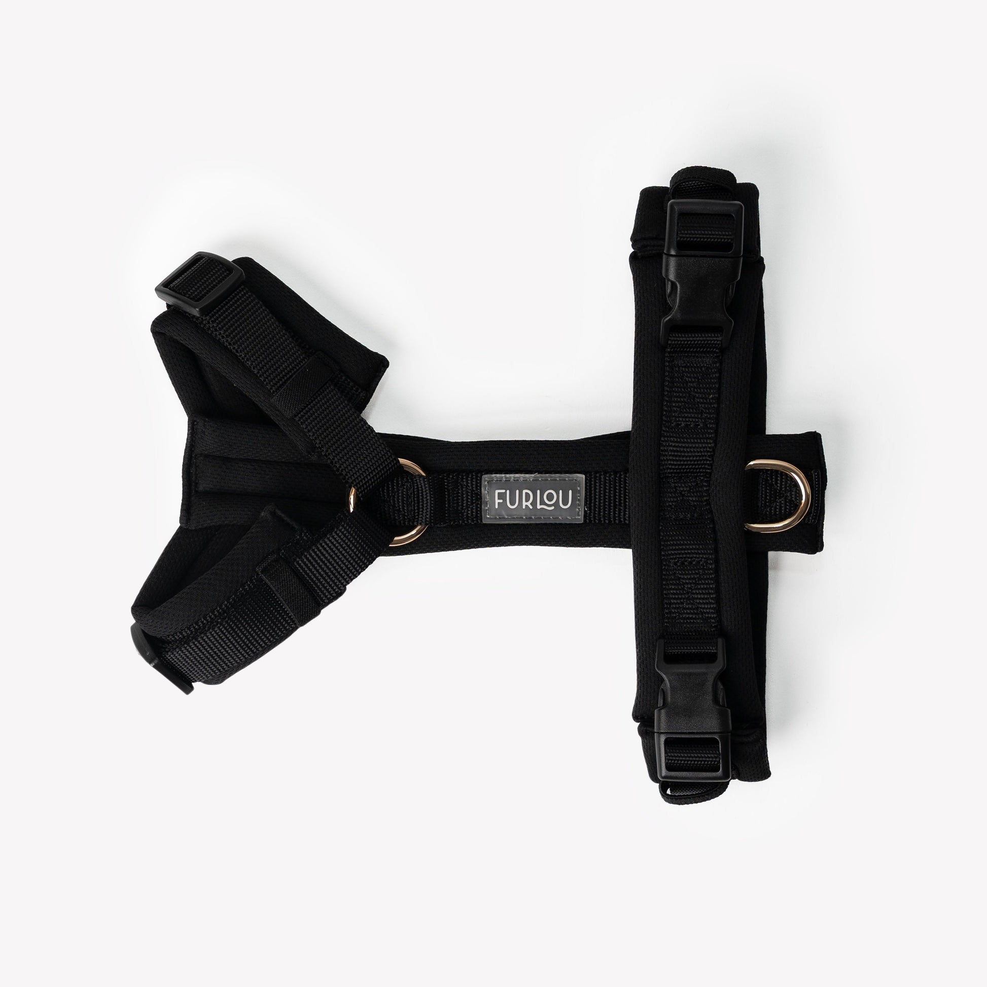 Black on dog — dog harness close-up | Cutie Paw Co.