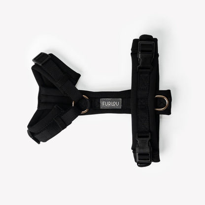Black on dog — dog harness close-up | Cutie Paw Co.