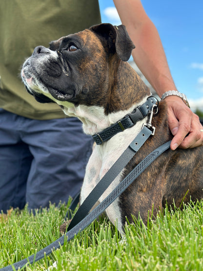 Celtic Sport Blue Jeans Leather Dog Leash on dog — dog leash close-up | Cutie Paw Co.