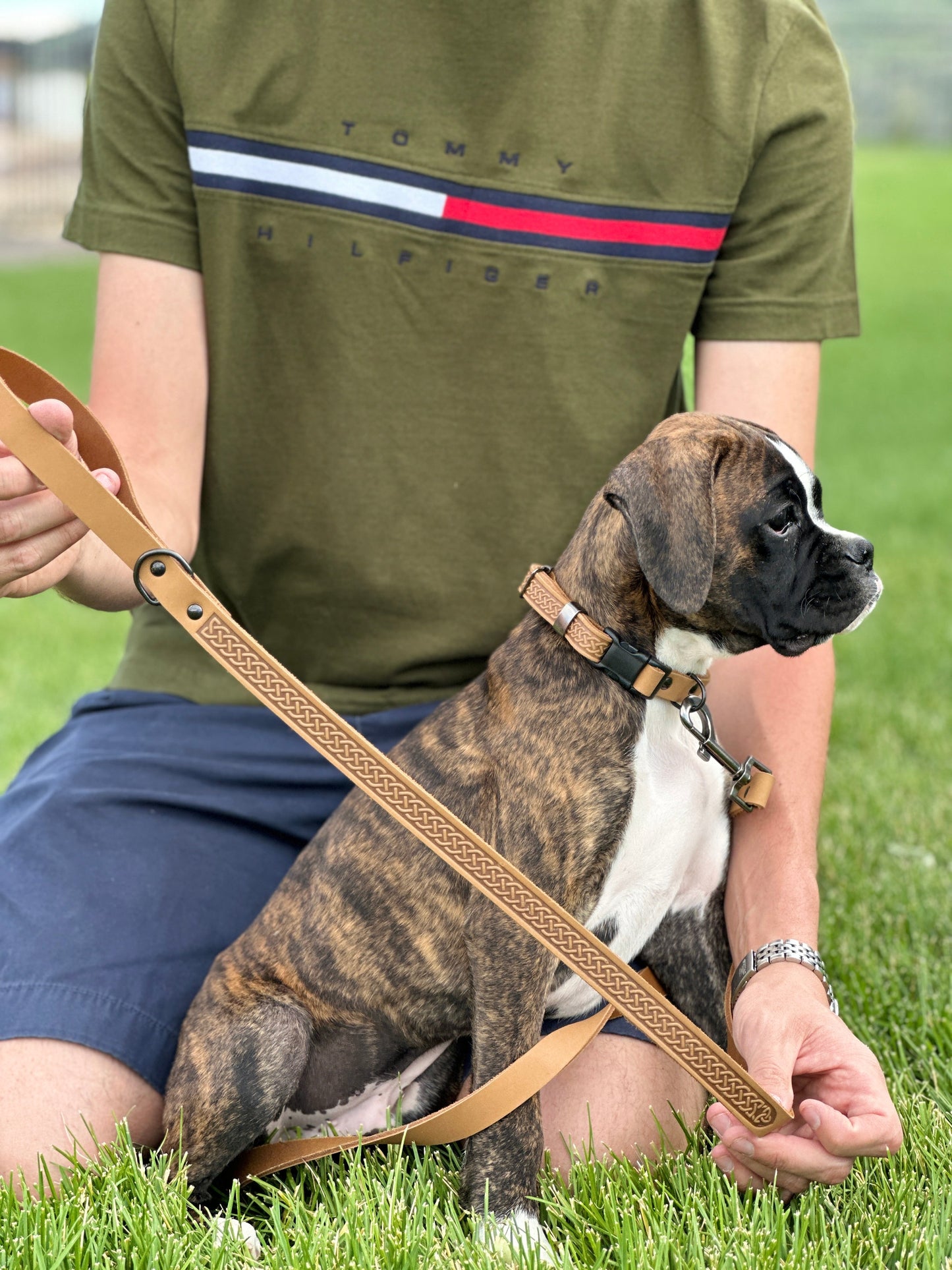 Celtic Sport Khaki Leather Dog Leash on dog — dog leash close-up | Cutie Paw Co.