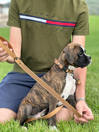 Celtic Sport Khaki Leather Dog Leash on dog — dog leash close-up | Cutie Paw Co.