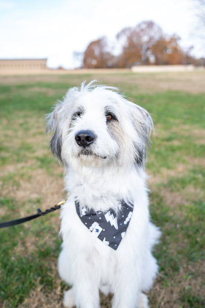 Blue Moon & Lightning Dog Bandana