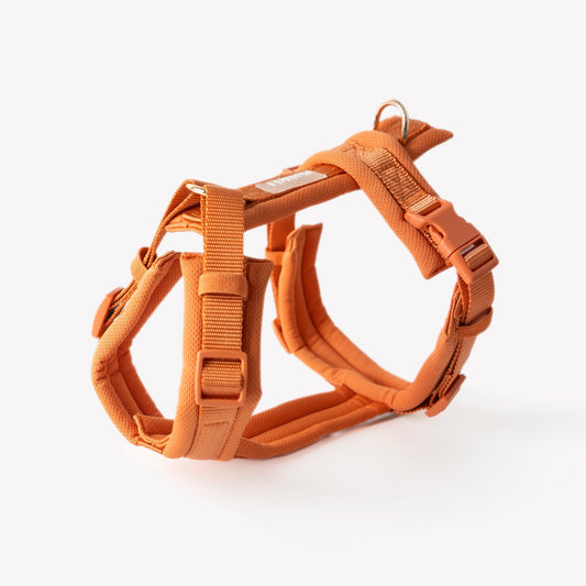 Terracotta | Cutie Paw Co.