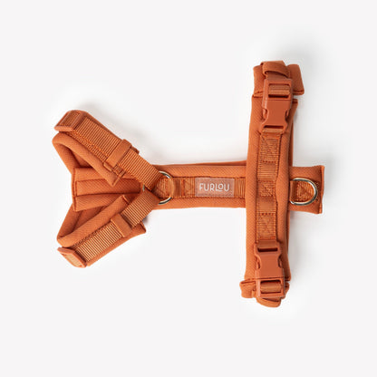 Terracotta on dog — dog harness close-up | Cutie Paw Co.