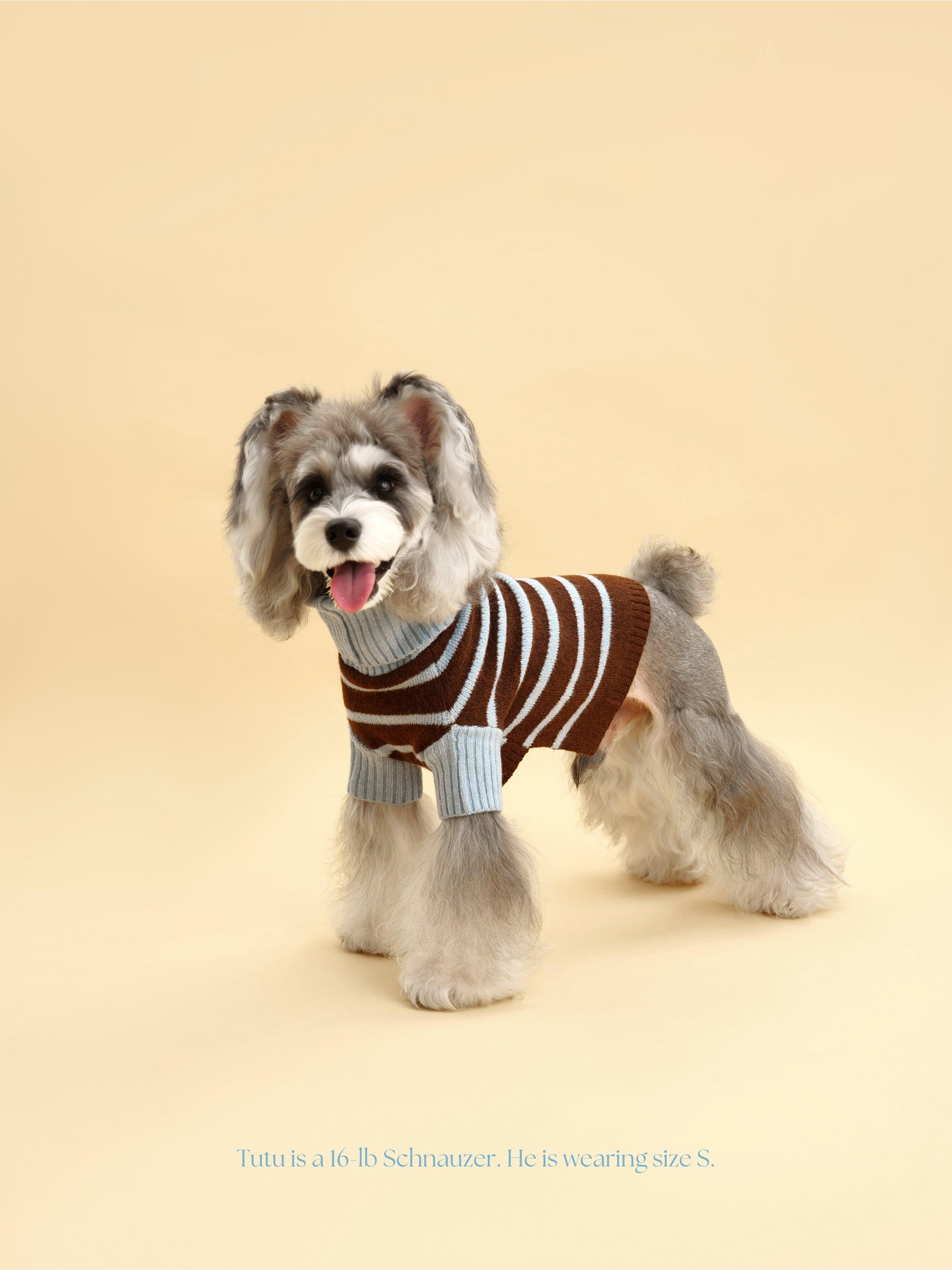 Bluebell Stripes Sweater on dog — pet accessory close-up | Cutie Paw Co.