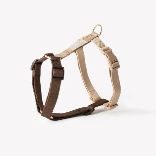 Brown and Tan | Cutie Paw Co.
