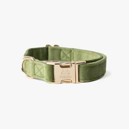 'Green' - Velvet Dog Collar