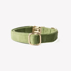 'Green' - Velvet Dog Collar