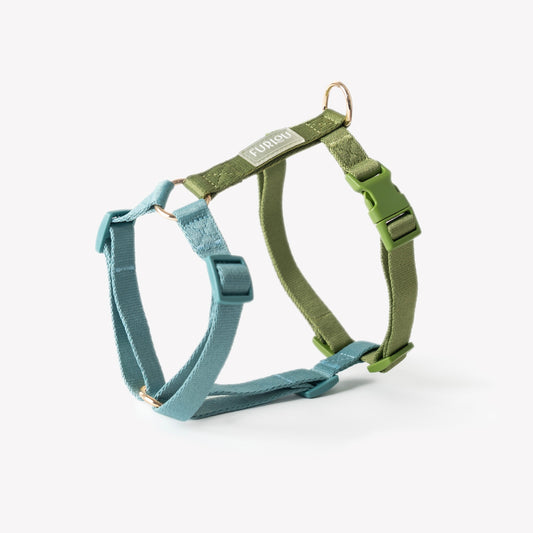 Blue and Green | Cutie Paw Co.