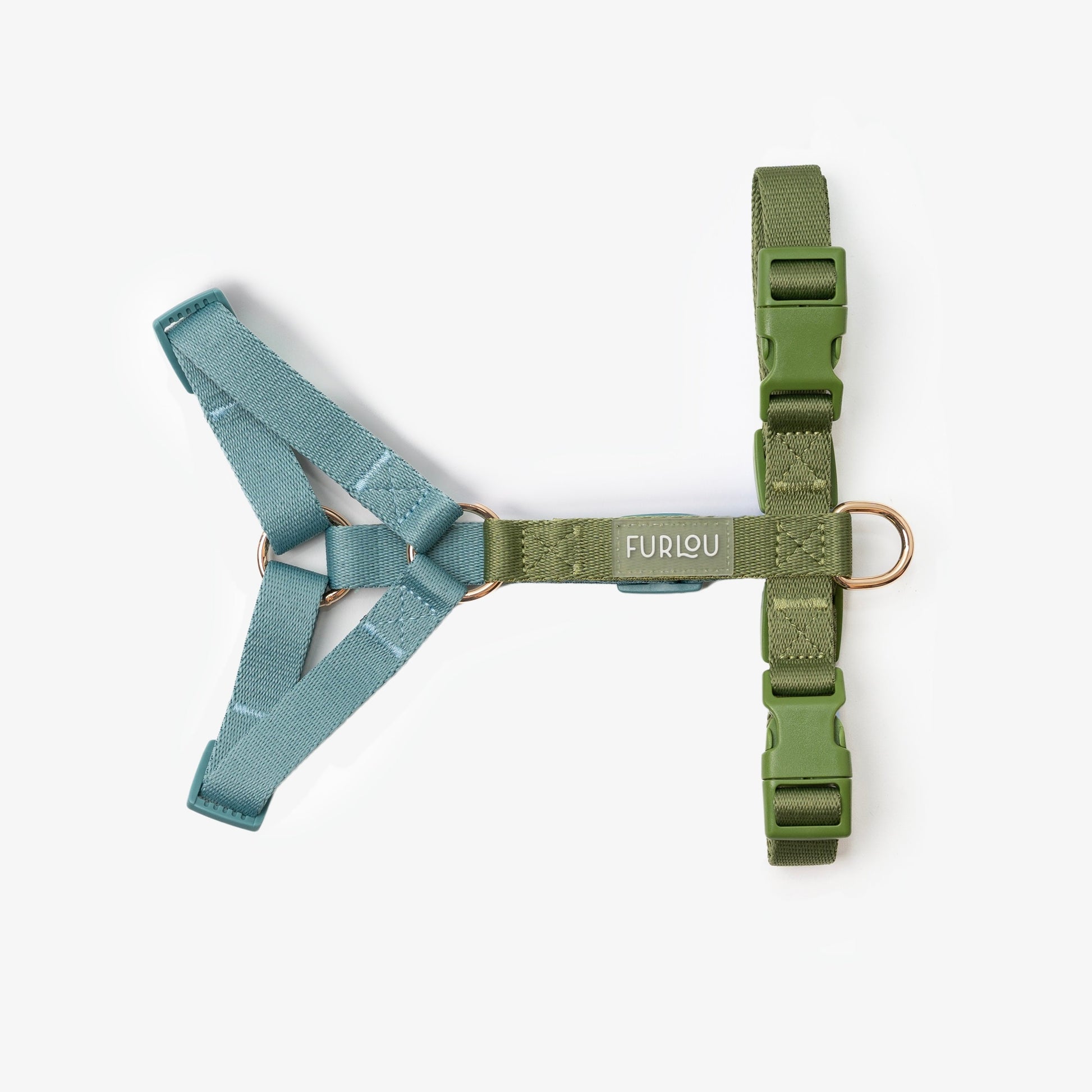 Blue and Green on dog — dog harness close-up | Cutie Paw Co.