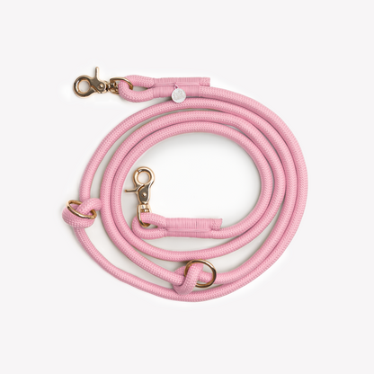 'Pink' on dog — dog leash close-up | Cutie Paw Co.