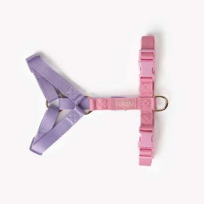 Lavender and Pink on dog — dog harness close-up | Cutie Paw Co.