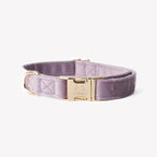 'Lilac' - Velvet Dog Collar