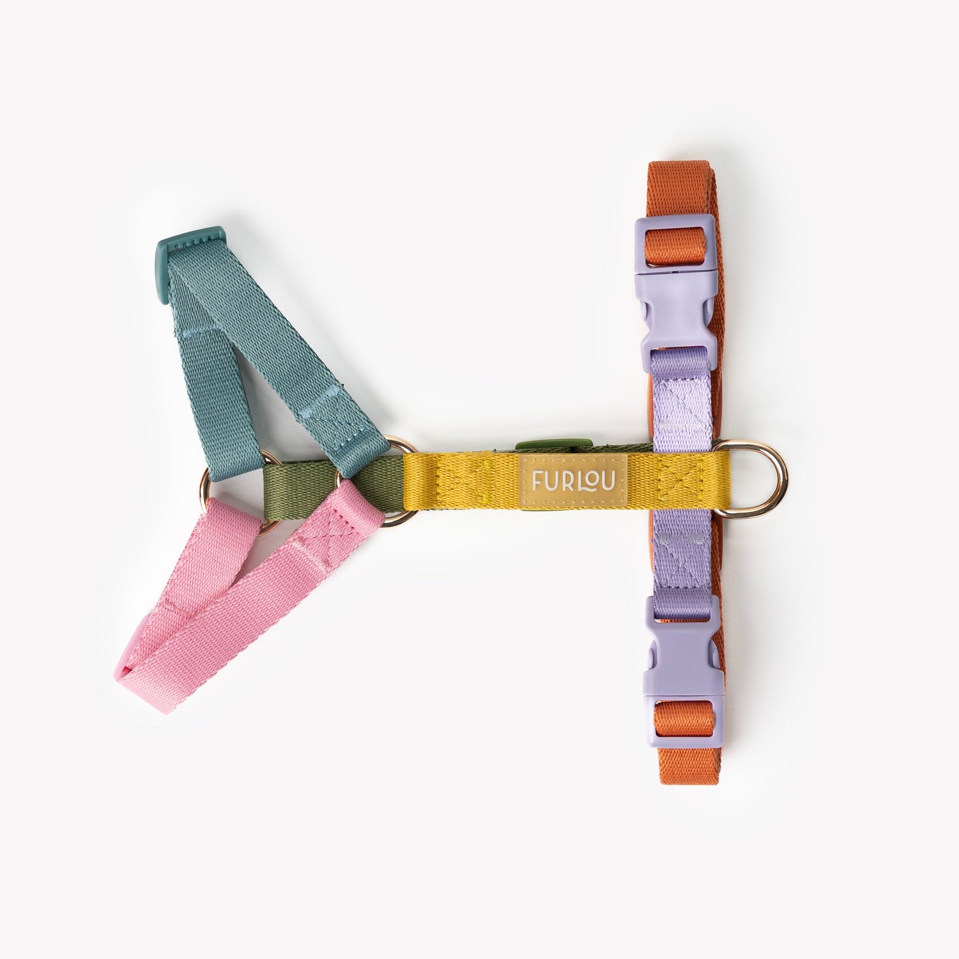 Rainbow on dog — dog harness close-up | Cutie Paw Co.