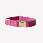 'Magenta' - Velvet Dog Collar