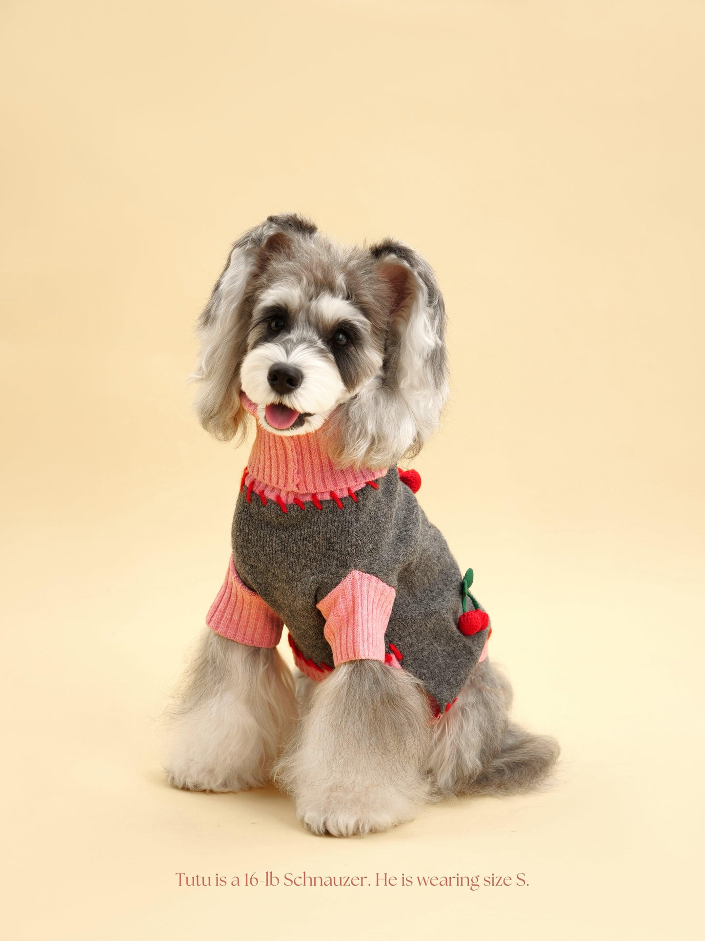 Cherry Kiss Sweater detail view | Cutie Paw Co.