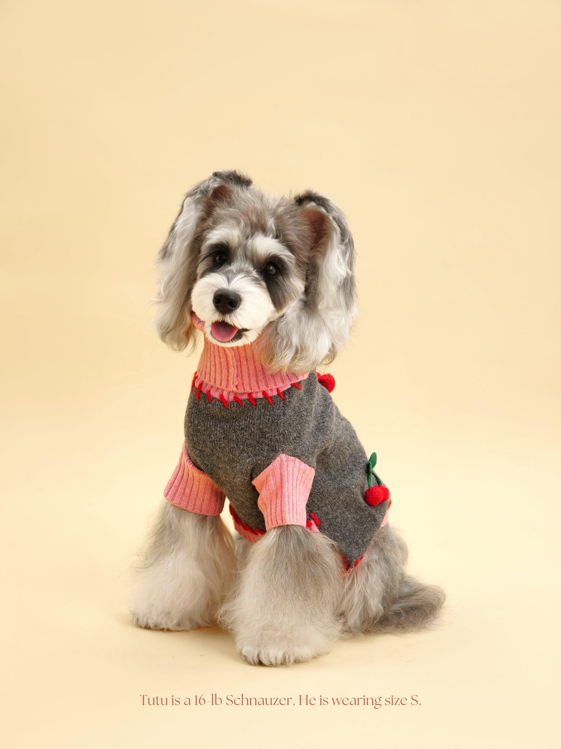 Cherry Kiss Sweater detail view | Cutie Paw Co.