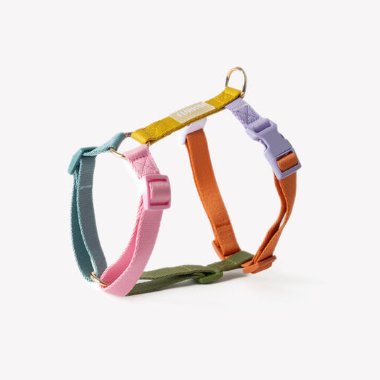 Rainbow | Cutie Paw Co.