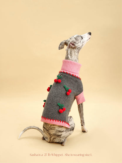 Cherry Kiss Sweater on dog — pet accessory close-up | Cutie Paw Co.