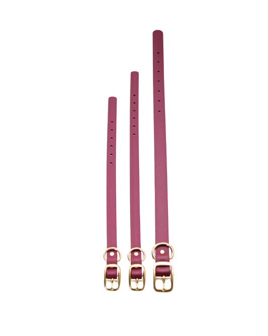 Maroon Waterproof Biothane Collar