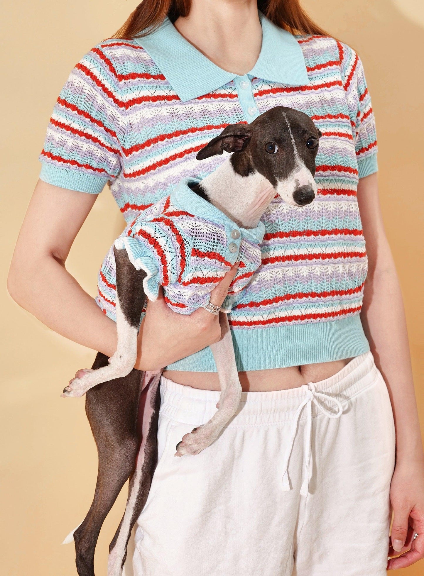 Pet & Me Spring Summer Blue Ocean Crochet Short Sleeve Polo Shirt on dog — pet accessory close-up | Cutie Paw Co.
