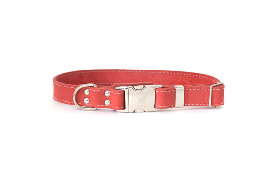 Coral Reef Leather Dog Collar — Bestseller