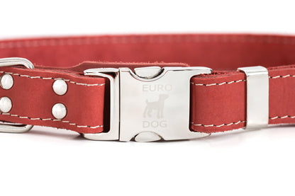 Coral Reef Leather Dog Collar — Bestseller detail view | Cutie Paw Co.